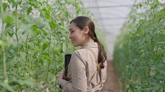 年轻的女农民一大早就在温室里干活