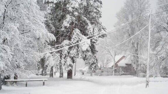 下雪下的乡村街道