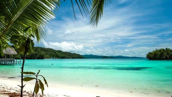 美丽的蓝色泻湖与一棵棕榈树在前面Gam岛西巴布亚拉贾安帕印度尼西亚