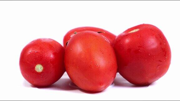 白色背景的番茄