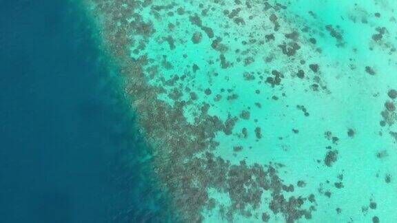 鸟瞰图的珊瑚礁在马尔代夫