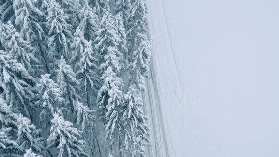 空中森林公路上覆盖着一层雪