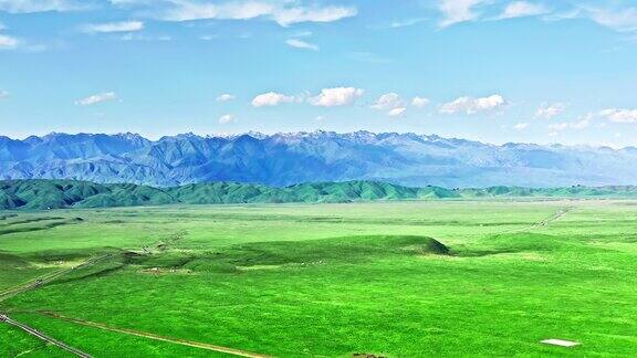 新疆草原夏季自然景观