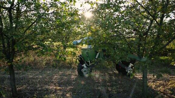 农业机器人绕着果园开车