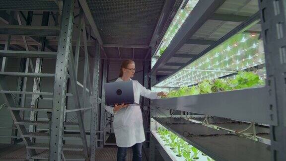 摄像机在一个种植蔬菜和草药的现代金属农场的走廊里移动一组科学家使用计算机和现代技术控制作物的生长和健康