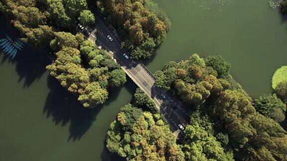 鸟瞰图的道路通过湖泊和树木地区