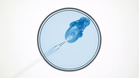 实验室滴管将蓝色液体注入培养皿中的淡蓝色液体中
