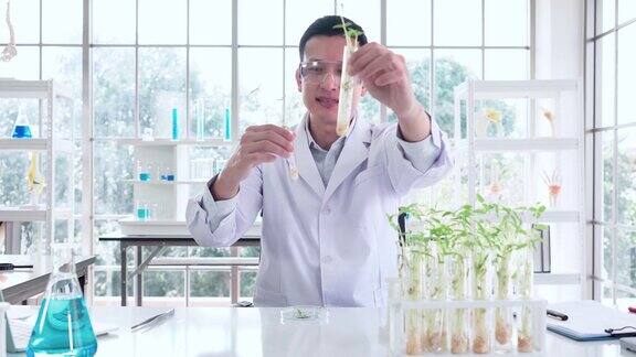 穿着实验服和防护服的科学家生物化学家作为影响者中间人youtube工作者视频博客教学展示科学实验以及实验室试管中的未知植物