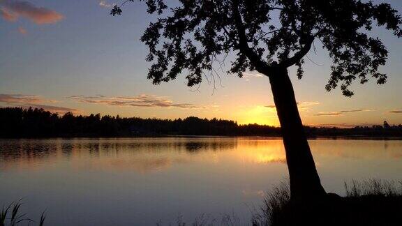 森林湖上的日落
