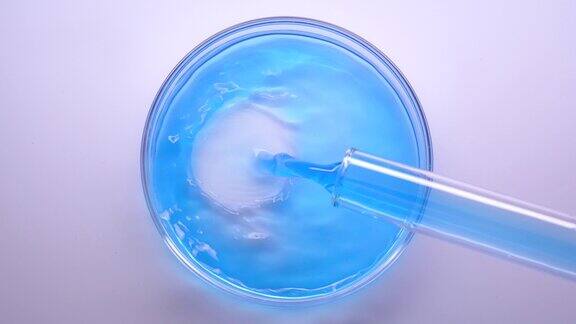 在培养皿中倒入蓝色液体溶液