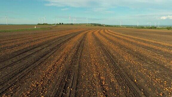 收获季节后的南瓜田剩下的留在地里作为肥料空中拍摄