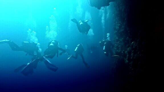 水下生活在宁静的海洋中潜水