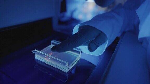 DNA遗传实验室工作人员:病毒检测测试