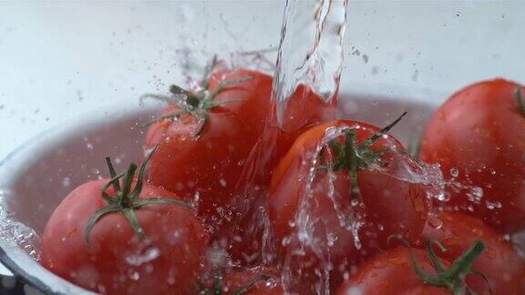 慢镜头中水溅到西红柿上