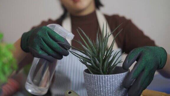 亚洲妇女使用喷雾瓶浇植物