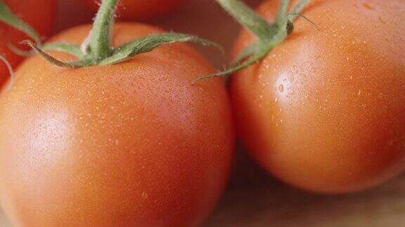 新鲜的有机红番茄与水滴摄影