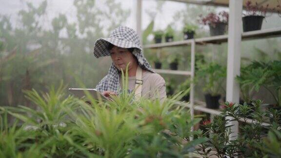 在园艺中心工作的妇女使用平板电脑清点植物