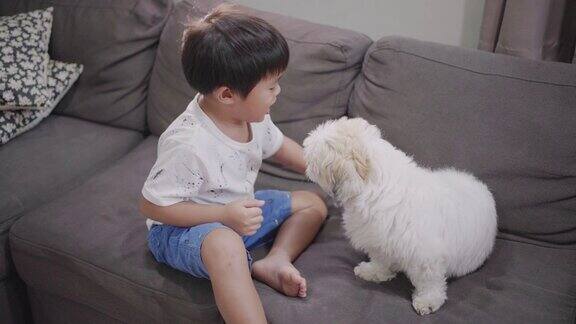 亚洲小男孩在家里玩狗