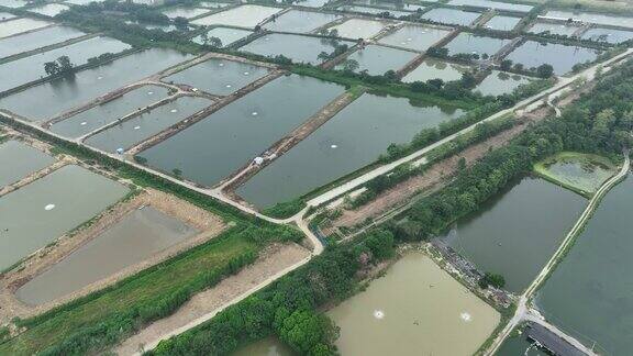 中国广东省的鱼塘