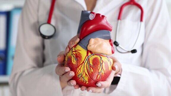 医生心脏病专家手持人工心脏模型特写4k电影慢动作