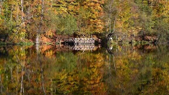 木码头湖边和树木木码头树倒影水秋季节