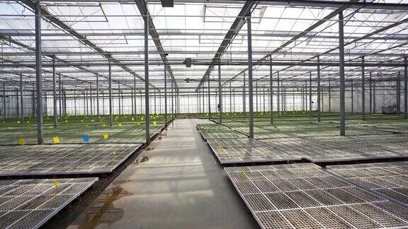 荷兰温室技术:苗圃、玻璃园艺、耕作、栽培、农业、工业和栽培环境中的植物生产