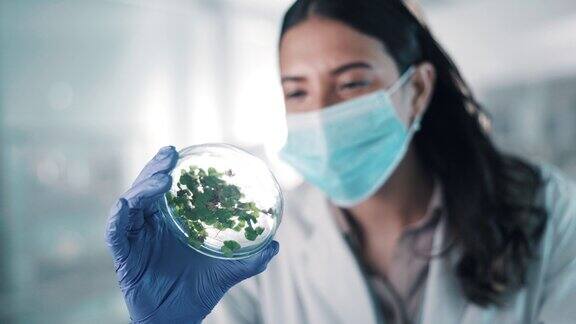 面膜科学家或女性与植物研究花卉检查或可持续创新样本研究或研究人员在科学实验室的生态叶生长信息或花卉农业分析