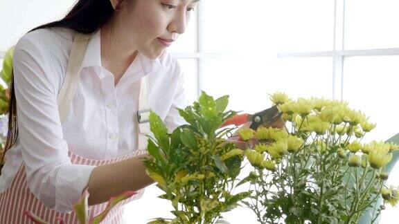 一名年轻女子正在自家柜台上的花盆里种植