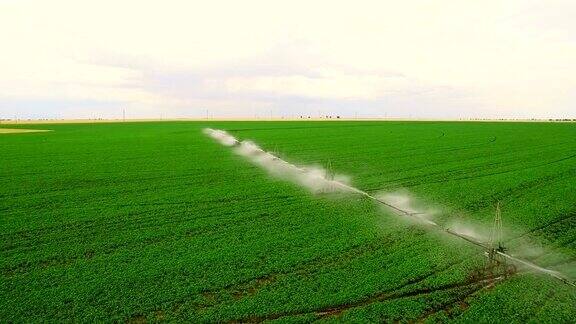 工业农业航拍录像:欧洲夏季生菜田的灌溉灌溉、灌溉麦田