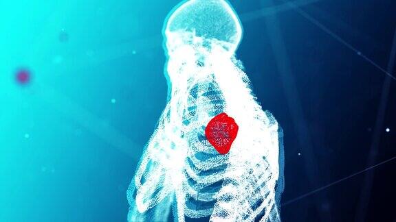 4K人体解剖和心脏细节背景
