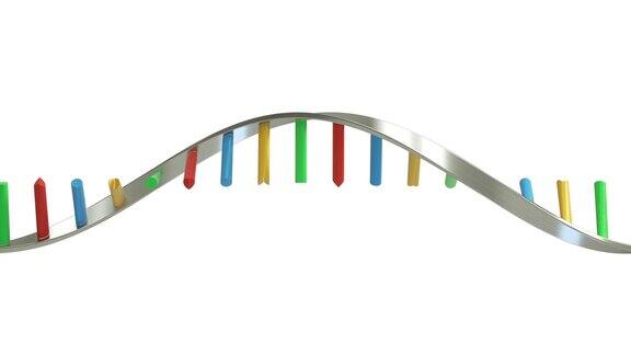 DNA分子