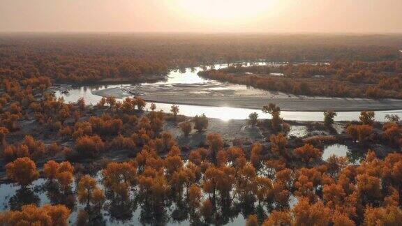 新疆绿洲蜿蜒的河流鸟瞰图