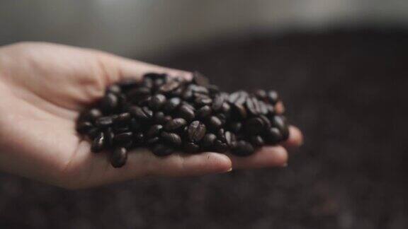 近距离观察亚洲工匠的手烘焙咖啡豆去石过程后从他的工厂冷却过程