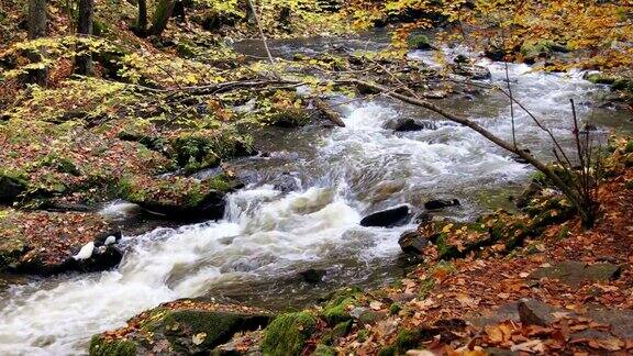 野河都布拉瓦在秋天的色彩风景如画