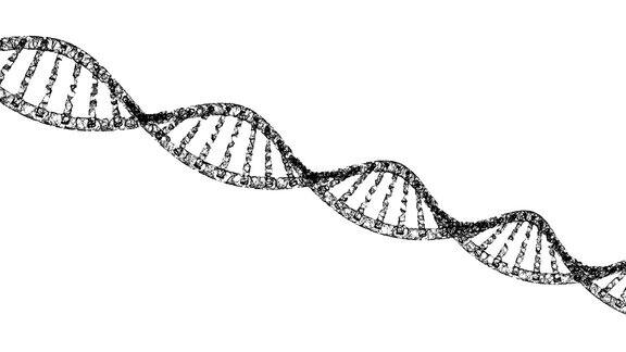 DNA螺旋模型药物和网络连接线隔离在白色背景上抽象未来技术结构在科学医学化学概念3d插图