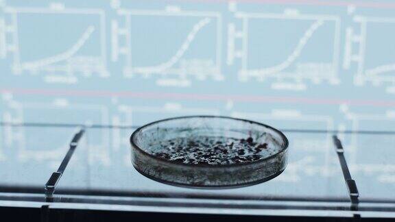 实验室样品在培养皿关闭科学实验室