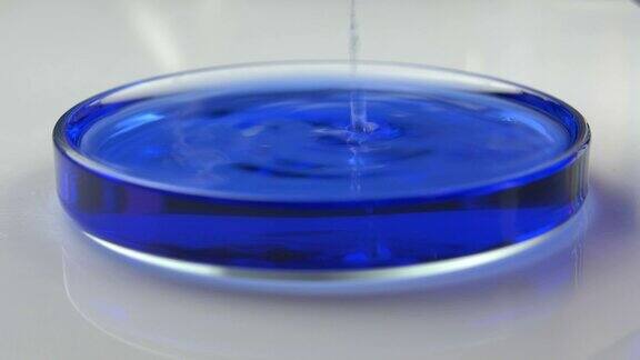 将蓝色液体从实验室烧杯倒入实验室玻璃培养皿中