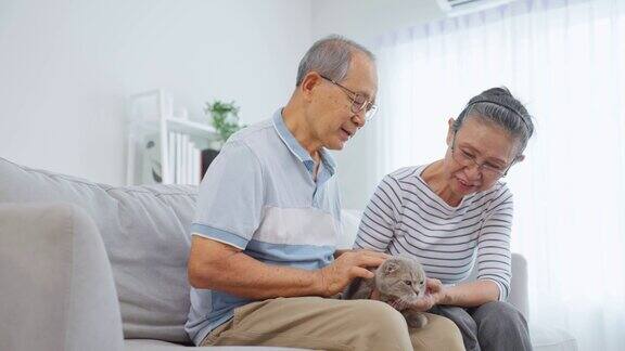 亚洲老夫妇在客厅抚摸家猫玩耍幸福的家庭有魅力的年长成熟的男女祖父母坐在沙发上和他们的宠物在家里度过自由的闲暇时光