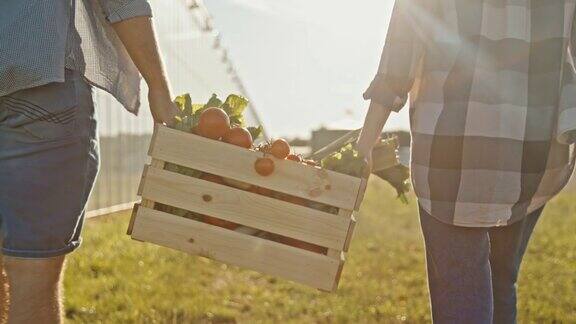 一对年轻的夫妇提着装满新鲜蔬菜的板条箱