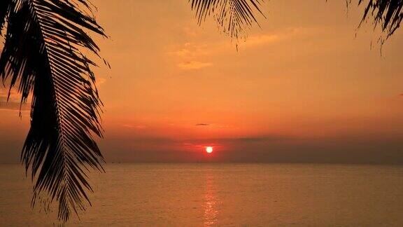 日落海滩海洋热带岛屿橙色的天空剪影棕榈