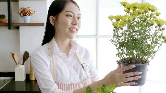 一名年轻女子正在自家柜台上的花盆里种植