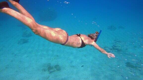 慢动作:年轻女子在度假时浮潜女性享受浮潜潜水水下探索多彩的珊瑚礁