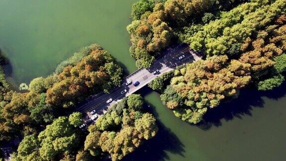 通过湖泊和树木区域的道路鸟瞰图