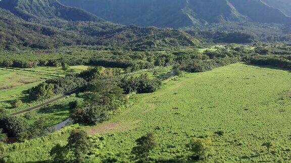 低倾斜的空中拍摄的戏剧性的山脉在夏威夷的考艾岛4k