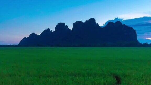 4K时间流逝:美丽的农业水稻在泰国北部