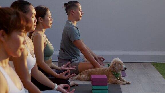 瑜伽老师教学生锻炼放松的生活方式