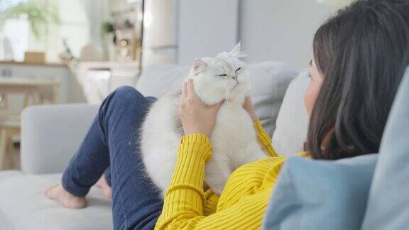 亚洲女人抱着小猫在家里玩得很开心有魅力的漂亮女性坐在沙发上悠闲地消磨时间与她的宠物在客厅温柔地交谈