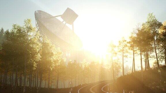日落时森林里的天文台无线电望远镜
