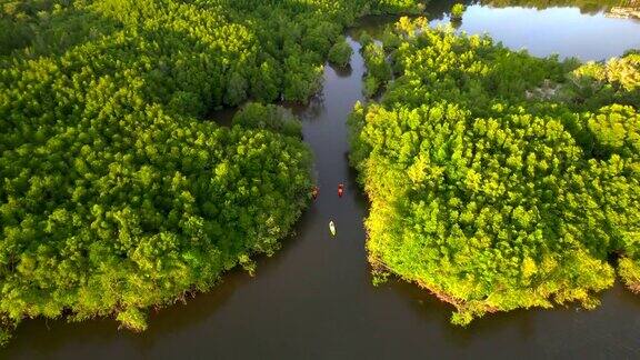 日落场景鸟瞰图的旅行团或研究人员划桨动作划桨的小船皮划艇在淡水河湖发现和探索大自然的植物园热带攀牙省泰国