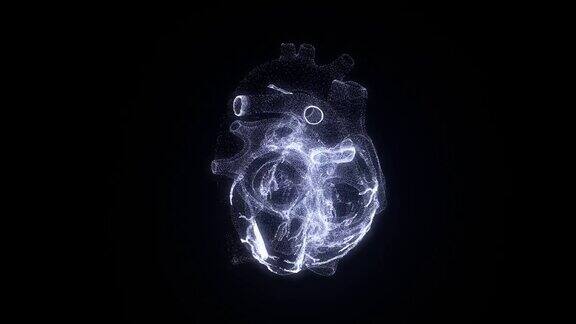 人类心脏的虚拟形象现代心脏诊断方法